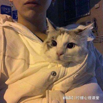 水果大战僵尸游戏下载